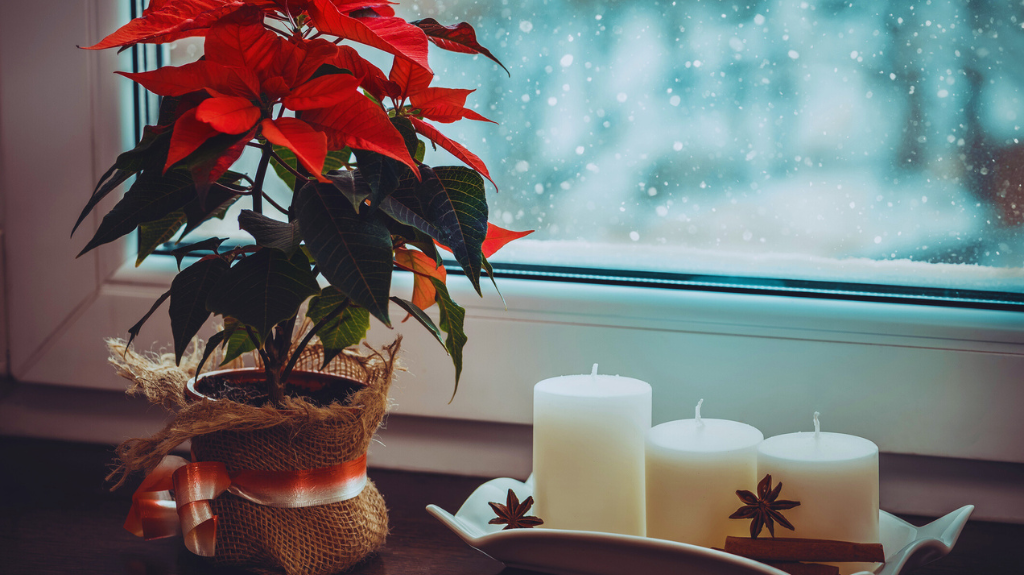 Winter Home